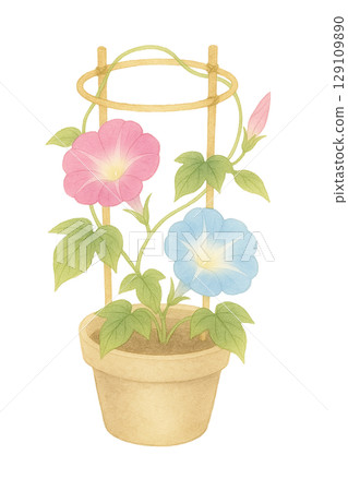 Illustration of a potted morning glory plant with a support (cutout, watercolor style) Illustration of a potted morning glory plant with a support (cutout, watercolor style) 129109890
