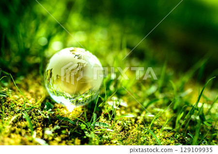 A beautiful crystal globe on the left of the grass. Ecological image. Two-part composition. Dark background. Normal daylight color. A beautiful crystal globe on the left of the grass. Ecological image. Two-part composition. Dark background. Normal daylight color. 129109935