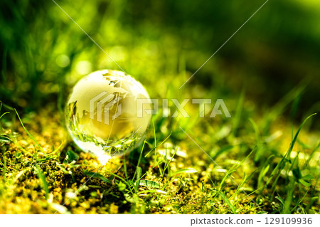 A beautiful crystal globe on the left of the grass. Ecological image. Two-part composition. Dark background. Normal evening color. 129109936