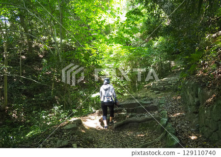 Hagi Castle (Yamaguchi Prefecture) - Back view of a woman hiking up Mt. Shizuki 129110740