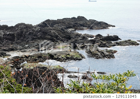 Izu Peninsula, Tsumekizaki, Tawaraiso Izu Peninsula, Tsumekizaki, Tawaraiso 129111045