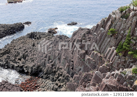 伊豆半島、妻木崎、田原莊 129111046