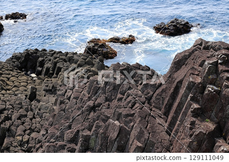 伊豆半島、妻木崎、田原莊 伊豆半島、妻木崎、田原莊 129111049