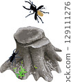 Stag Beetle Warrior 7 Flight 129111276
