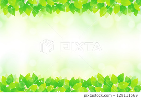 Fresh green leaves top and bottom green background material frame illustration 129111569