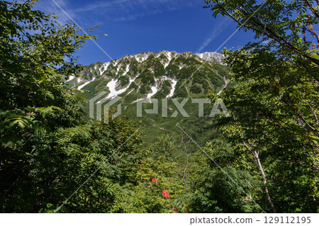 新綠色北阿爾卑斯山 129112195