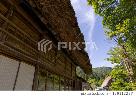 Shirakawa-go's Gassho-style houses and the blue sky and fresh greenery of early summer 129112257