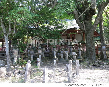 Tamukeyama Hachiman Shrine in Nara City 129112506