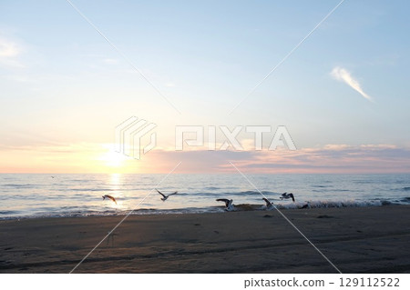 Sunset over the sea and seagulls Sunset over the sea and seagulls 129112522