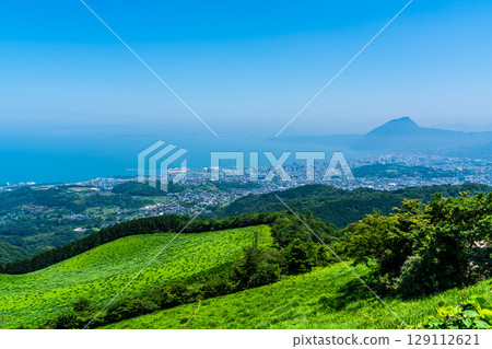 View of Beppu City from Jumonjihara Observatory [Beppu City, Oita Prefecture] 129112621