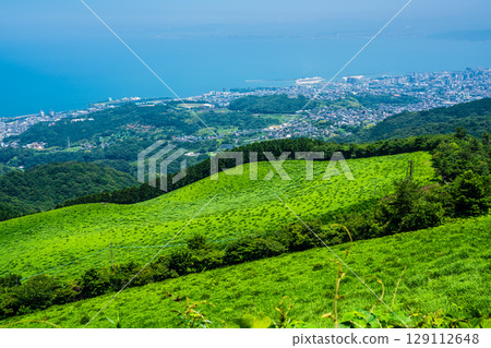 從十文字原展望台眺望別府市景[大分縣別府市] 129112648