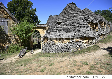 France, Dordogne, Perigord Noir, Dordogne valley, Saint-Andre-d'Allas, cabanes du Breuil, old dry 129112758