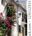 有白色牆壁和美麗花朵的房子 129112933