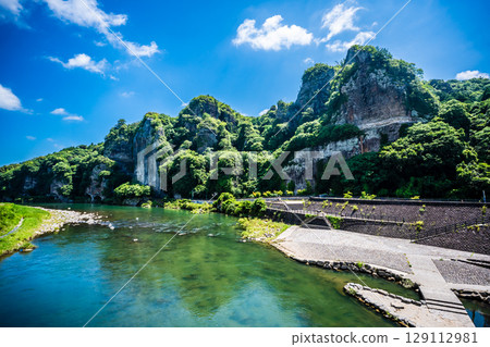 Fresh greenery of the Blue Cave [Motoyamakei, Nakatsu City, Oita Prefecture] 129112981