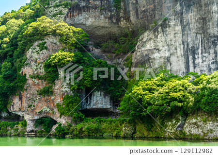 Fresh greenery of the Blue Cave [Motoyamakei, Nakatsu City, Oita Prefecture] 129112982