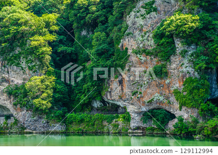Fresh greenery of the Blue Cave [Motoyamakei, Nakatsu City, Oita Prefecture] 129112994