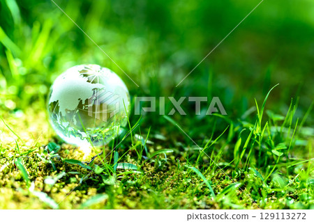 A beautiful globe crystal on the left of the grass. Ecological image. Normal morning color. 129113272
