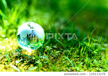 A beautiful globe crystal on the left of the grass. Ecological image. Clear normal morning color. 129113276