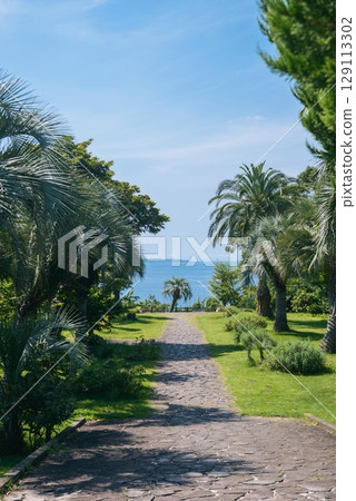 Obayashi Observatory Park, Manazuru Town, Kanagawa Prefecture, a park with an ocean view and palm trees 129113302
