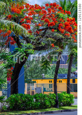 Hoogoku Hoogoku 129113380