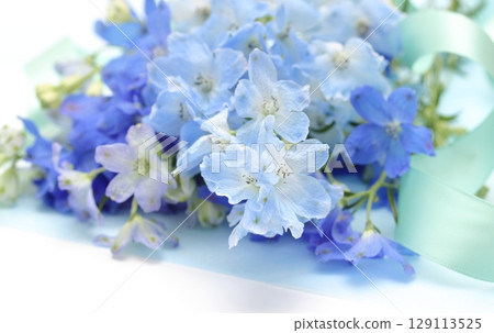 Delphinium Bouquet 129113525
