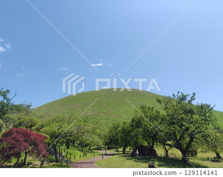 陽光明媚的大室山 陽光明媚的大室山 129114141