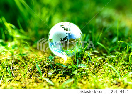 A beautiful crystal globe in the grass. Ecological image. Center position. Normal daylight color. 129114425