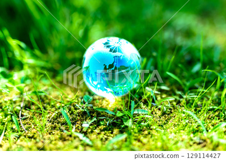 Beautiful globe crystal in the grass. Ecological image. Center position. Light blue morning color. 129114427