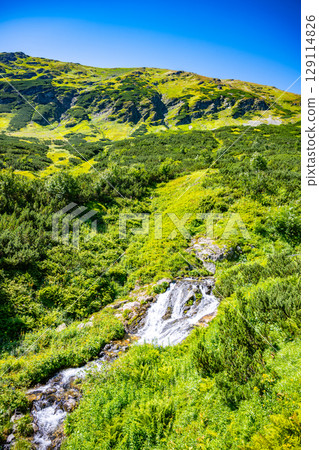 A pristine mountain creek winds through verdant hills, glistening in the sunlight. The surrounding landscape features rich greenery, emphasizing the natural beauty of the tranquil setting. 129114826