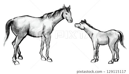 Ink painting of a horse and its cub, material for New Year's cards in the Year of the Horse 129115117