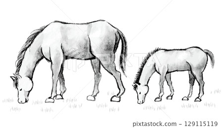 Ink painting of a horse and its child eating grass side by side, material for a New Year's card in the Year of the Horse Ink painting of a horse and its child eating grass side by side, material for a New Year's card in the Year of the Horse 129115119