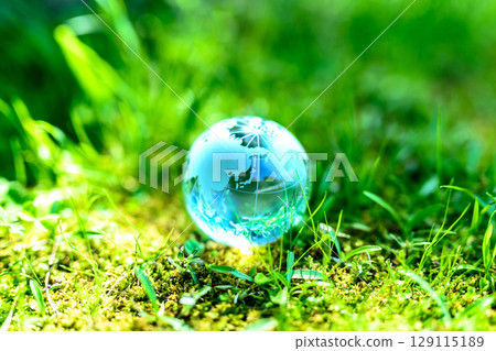 明亮的草叢中美麗的水晶球。生態影像。中心位置。清晨的淡藍色。 129115189