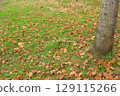 Fallen leaves in the park 129115266