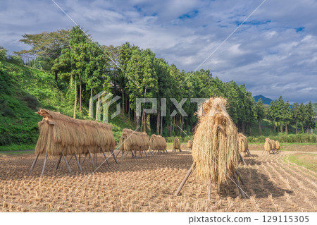 A scene of traditional hanging A scene of traditional hanging 129115305
