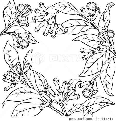 Clove Branch with Flowers Outline Frame. 129115314