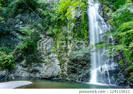 A waterfall surrounded by fresh greenery 129115622