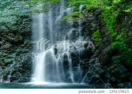 Landscape with a waterfall 129115623