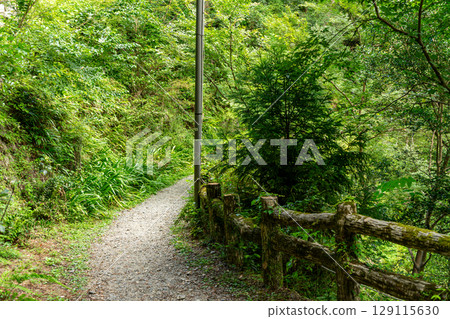 A road surrounded by green A road surrounded by green 129115630