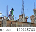 construction worker working on scaffolding 129115783