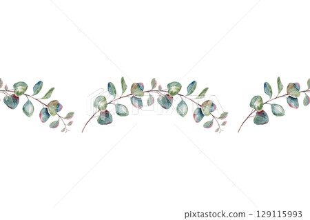 Geometric seamless eucalyptus banner, branches with leaves, hand drawn watercolor rustic botanical ornament isolated on white background. Ideal for printing on packaging, wrapping, fabric, textile Geometric seamless eucalyptus banner, branches with leaves, hand drawn watercolor rustic botanical ornament isolated on white background. Ideal for printing on packaging, wrapping, fabric, textile 129115993