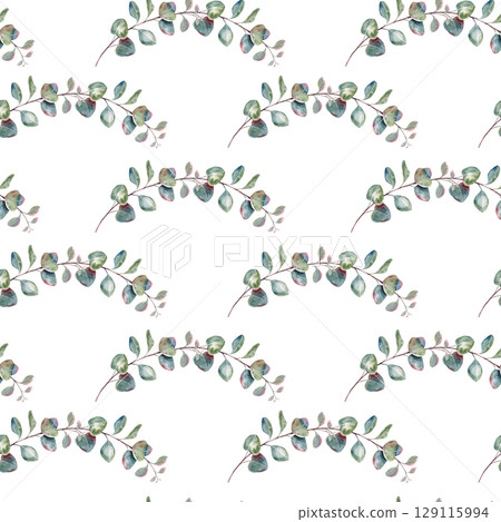 Geometric seamless eucalyptus pattern, branches with leaves, hand drawn watercolor rustic botanical ornament isolated on white background. Ideal for printing on packaging, wrapping, fabric, textile Geometric seamless eucalyptus pattern, branches with leaves, hand drawn watercolor rustic botanical ornament isolated on white background. Ideal for printing on packaging, wrapping, fabric, textile 129115994