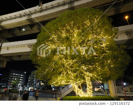 深川Gatharia的夜景 深川Gatharia的夜景 129116372