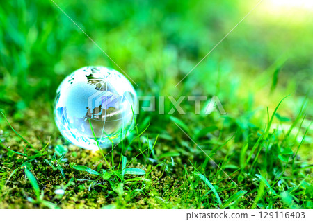 A beautiful crystal globe to the left of the bright grass. Ecological image. Normal color. 129116403