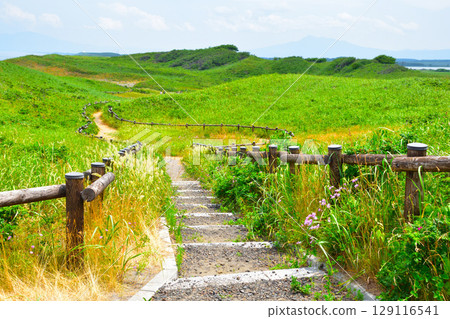 北海道小清水源生花園 129116541