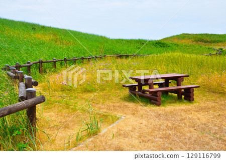 北海道小清水源生花園 129116799