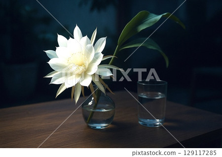 夜來香的神秘夜來香。這張照片是這些奇怪的白色花朵的特寫。 129117285
