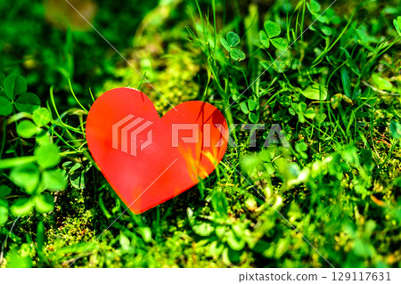Heart in the grass of nature, environmental protection, love, encounter, background material, daytime color 129117631