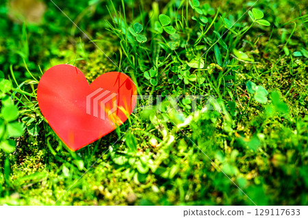 Heart in the grass of nature, environmental protection, love, encounter, background material, daytime color 129117633