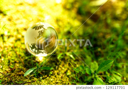 Beautiful backlit crystal globe. Ecological image. Two-part composition. Normal evening color. Beautiful backlit crystal globe. Ecological image. Two-part composition. Normal evening color. 129117701