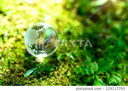 美麗的背光水晶球。生態影像。兩部分構圖。正常的早晨顏色。 129117703